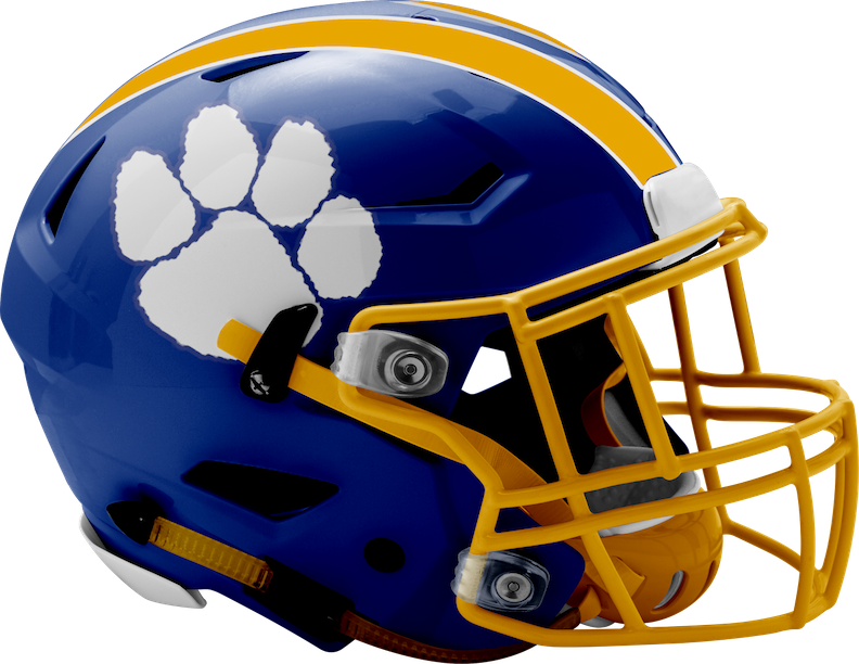 2025 Team Preview Early look at Valley View Cougars (2